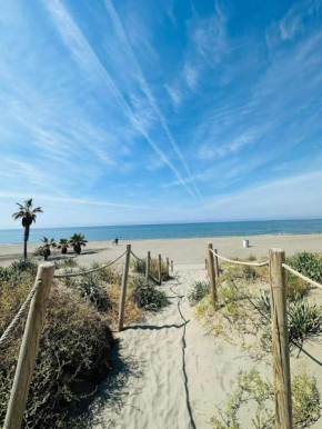 Ferrara playa